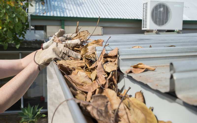 homeowners cleaning gutters