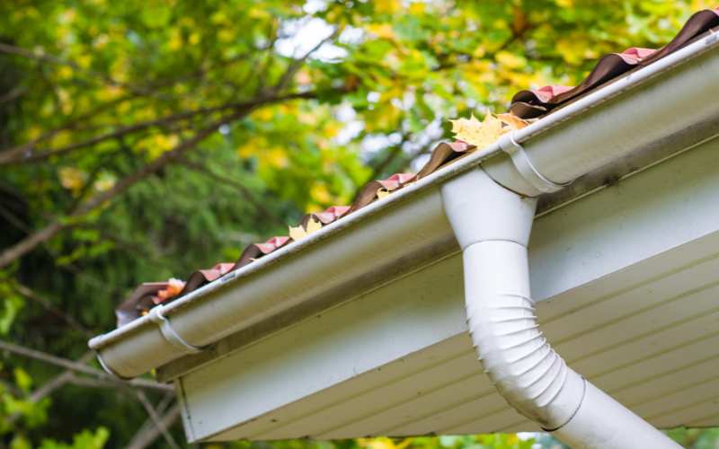 residential gutter clogged by tree leaves